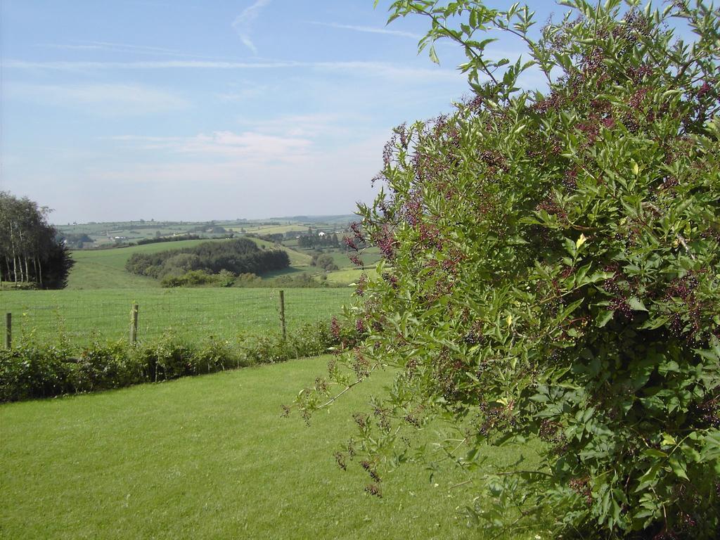 Beautiful In Heppenbach With Garden *